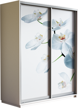 Шкаф-купе Дуо 1600/2200/450 (Фотопечать Орхидея) 2536