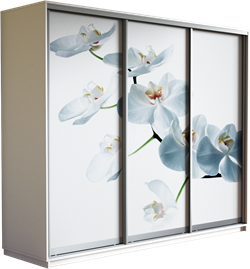 Шкаф-купе Трио 2100/2200/450 (Фотопечать Орхидея) 2552