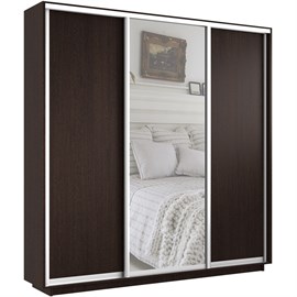 Шкаф-купе Экспресс (Зеркало, ЛДСП) 240/220/45 Ш1755