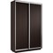 Шкаф-купе Экспресс (ЛДСП) 120/220/45 Ш1007