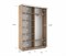 Шкаф-купе Экспресс (ЛДСП) 160/220/45 Ш1011
