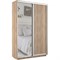 Шкаф-купе Экспресс (Зеркало, ЛДСП) 120/220/45 Ш1101