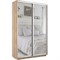 Шкаф-купе Экспресс (Зеркало) 120/220/45 Ш1201