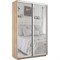 Шкаф-купе Экспресс (Зеркало) 120/240/45 Ш1202