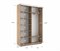 Шкаф-купе Экспресс (Зеркало) 120/240/45 Ш1202