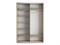 Шкаф-купе Экспресс (Зеркало, ЛДСП) 120/240/60 Ш1302