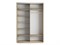 Шкаф-купе Экспресс (Зеркало, ЛДСП) 160/220/60 Ш1305