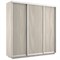 Шкаф-купе Экспресс (ЛДСП) 180/240/60 Ш1502