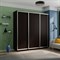 Шкаф-купе Экспресс (ЛДСП) 210/220/60 Ш1503