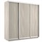 Шкаф-купе Экспресс (ЛДСП) 240/240/60 Ш1506