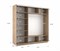 Шкаф-купе Экспресс (Зеркало-2, ЛДСП) 210/220/60 Ш1703
