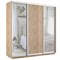Шкаф-купе Экспресс (Зеркало-2, ЛДСП) 210/240/60 Ш1704