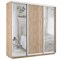 Шкаф-купе Экспресс (Зеркало-2, ЛДСП) 240/240/60 Ш1706