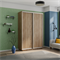 Шкаф-купе Экспресс Хит (ЛДСП) 120/220/60 Ш1121