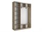 Шкаф-купе Экспресс (Зеркало, ЛДСП) 210/220/45 Ш1753