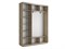 Шкаф-купе Экспресс (Зеркало, ЛДСП) 210/240/45 Ш1754