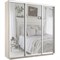 Шкаф-купе Экспресс (Зеркало) 240/220/45 Ш1955
