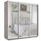 Шкаф-купе Лофт (Зеркало) 180/240/60 Ш2552