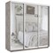 Шкаф-купе Лофт (Зеркало) 210/220/60 Ш2553