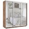 Шкаф-купе Лофт (Зеркало) 210/220/60 Ш2553