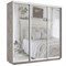 Шкаф-купе Лофт (Зеркало) 240/220/60 Ш2555