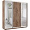 Шкаф-купе Лофт (Зеркало-2, ЛДСП) 210/220/45 Ш2653