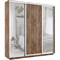 Шкаф-купе Лофт (Зеркало-2, ЛДСП) 210/240/45 Ш2654