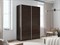 Шкаф-купе Прайм (ЛДСП) 140/230/57 П1002