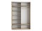 Шкаф-купе Экспресс (Зеркало, ЛДСП) 120/220/60 Ш1301