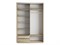 Шкаф-купе Экспресс (Зеркало, ЛДСП) 120/220/60 Ш1301