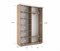 Шкаф-купе Экспресс (ЛДСП) 160/220/45 Ш1011