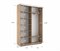 Шкаф-купе Экспресс (Зеркало, ЛДСП) 160/220/45 Ш1105