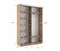 Шкаф-купе Экспресс (Зеркало, ЛДСП) 160/240/45 Ш1106