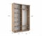 Шкаф-купе Экспресс (Зеркало) 120/240/45 Ш1202