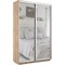 Шкаф-купе Экспресс (Зеркало) 140/240/45 Ш1204
