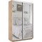 Шкаф-купе Экспресс (Зеркало) 160/220/45 Ш1205