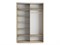 Шкаф-купе Экспресс (Зеркало, ЛДСП) 120/240/60 Ш1302