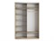 Шкаф-купе Экспресс (Зеркало, ЛДСП) 160/220/60 Ш1305