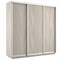 Шкаф-купе Экспресс (ЛДСП) 180/240/60 Ш1502
