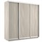 Шкаф-купе Экспресс (ЛДСП) 210/220/60 Ш1503