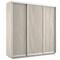 Шкаф-купе Экспресс (ЛДСП) 240/220/60 Ш1505