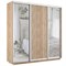 Шкаф-купе Экспресс (Зеркало-2, ЛДСП) 180/220/60 Ш1701