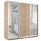 Шкаф-купе Экспресс (Зеркало-2, ЛДСП) 240/240/60 Ш1706