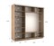Шкаф-купе Экспресс (Зеркало-2, ЛДСП) 240/240/60 Ш1706