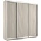 Шкаф-купе Экспресс (ЛДСП) 240/240/45 Ш1656