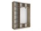 Шкаф-купе Экспресс (Зеркало, ЛДСП) 240/220/45 Ш1755