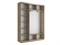 Шкаф-купе Экспресс (Зеркало, ЛДСП) 240/240/45 Ш1756