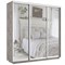Шкаф-купе Лофт (Зеркало) 180/220/60 Ш2551