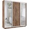 Шкаф-купе Лофт (Зеркало-2, ЛДСП) 180/220/45 Ш2651