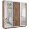Шкаф-купе Лофт (Зеркало-2, ЛДСП) 240/240/45 Ш2656